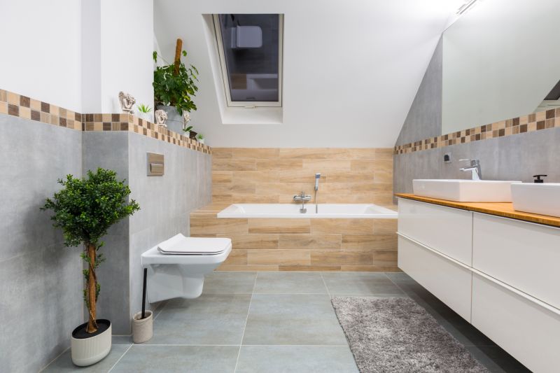 Bathroom Modification in Bradenton, FL