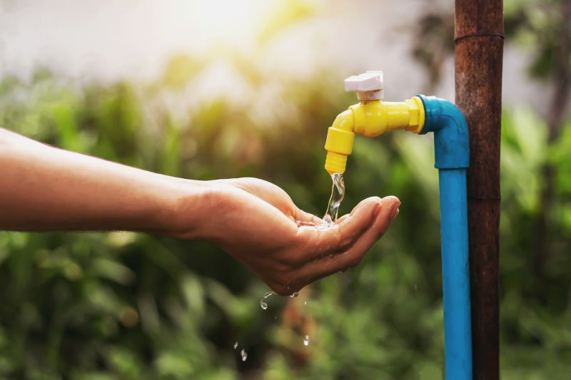 Eco-Friendly Options